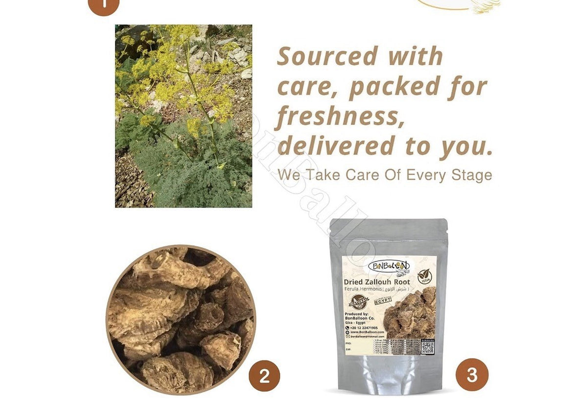 Sharsh El Zaloua Herb Egyptian Ferula Hermonis Natural 125grams شرش الزلوع