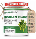 ORGANOPLEX Insulin Plant COSTUS IGNEUS Leaf Powder Healthy Glucose Support 180g