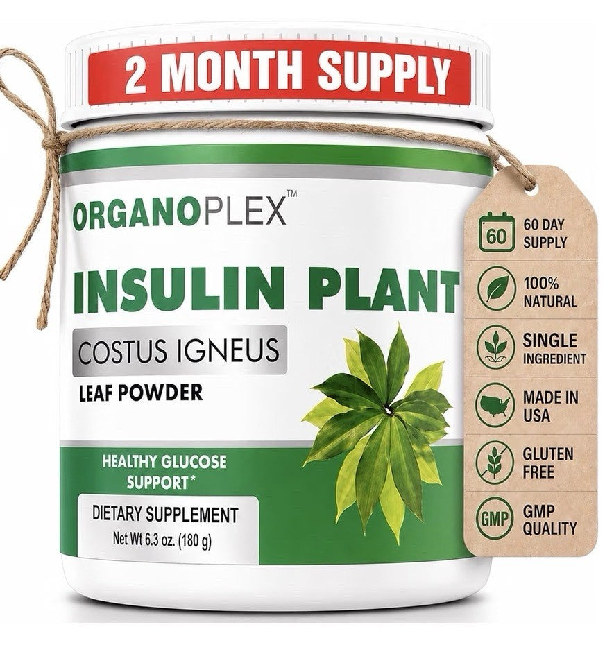 ORGANOPLEX Insulin Plant COSTUS IGNEUS Leaf Powder Healthy Glucose Support 180g