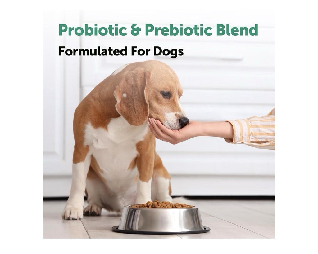 Micro Ingredients Probiotics for Dogs 6 Billion CFU 240 Soft Chews Duck Flavor
