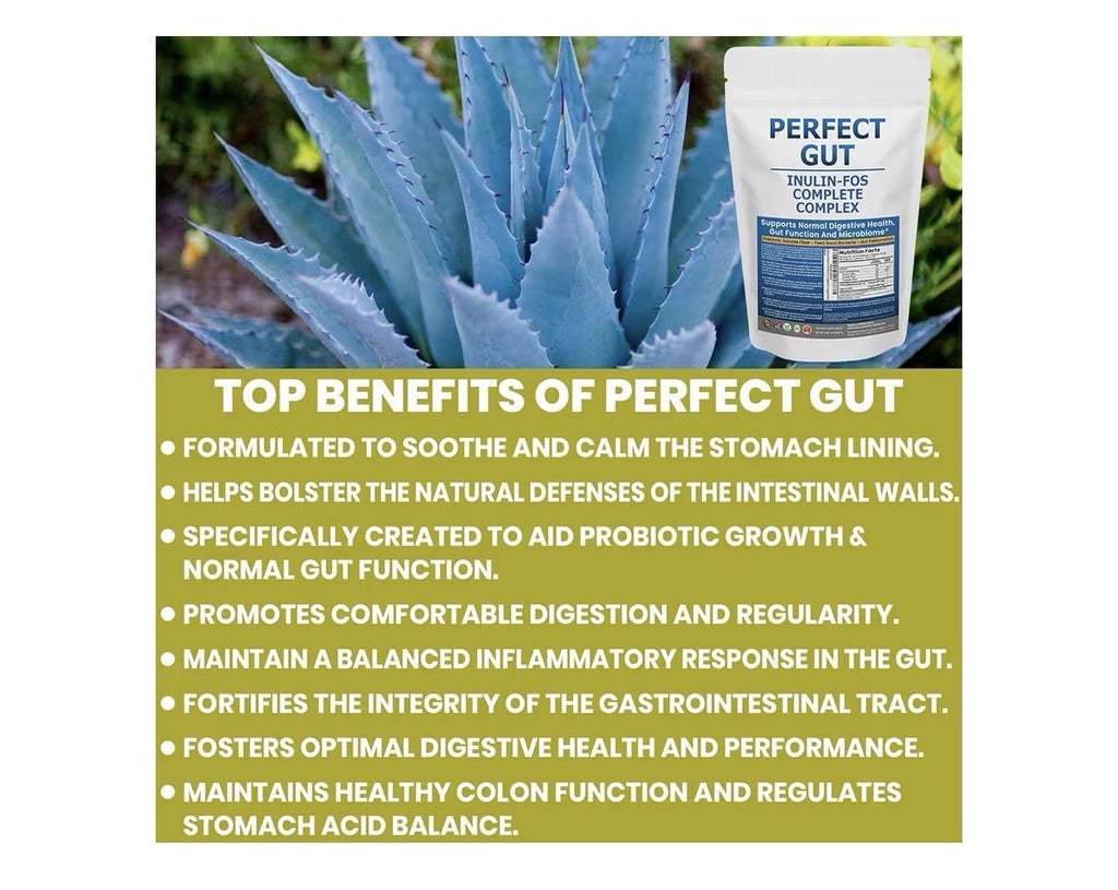 Perfect Gut: Inulin FOS Powder for Gut Health Prebiotic Inulin Prebiotic 2 LBS