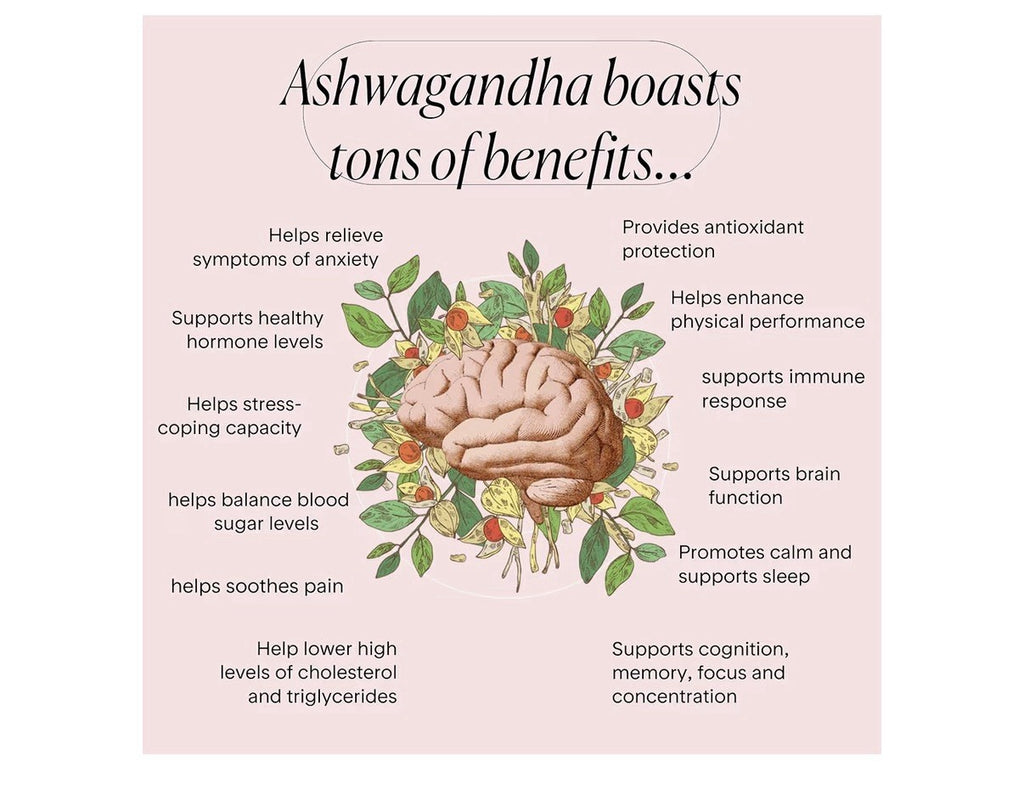 Goodness Lover Ashwagandha Supplement Nervous System Hormone Balance Support 60c