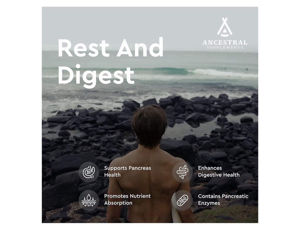Ancestral Supplements Pancreas Grass Fed Beef Supplement Pasture Raised 180 Caps