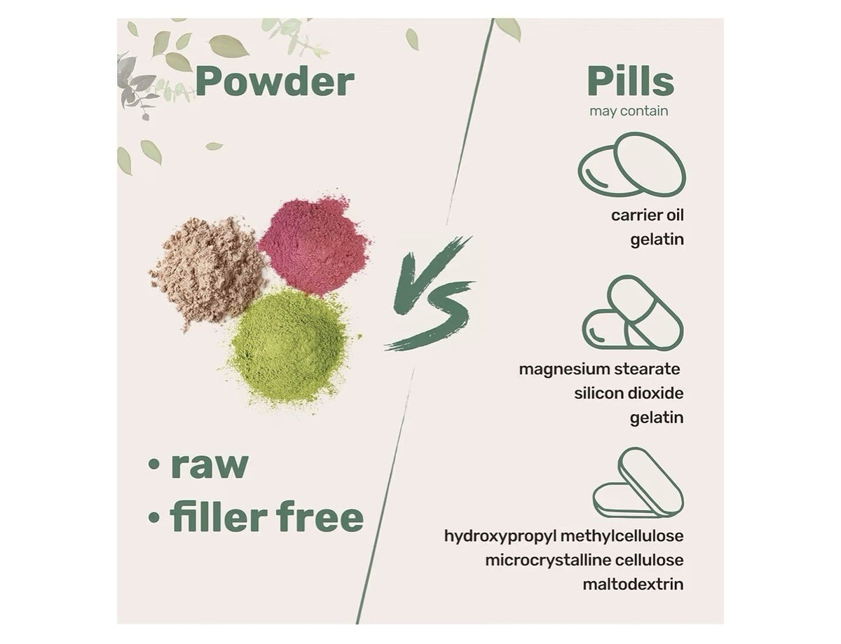 Micro Ingredients Ginkgo Biloba Flavone Glycosides Organic Powder 8oz