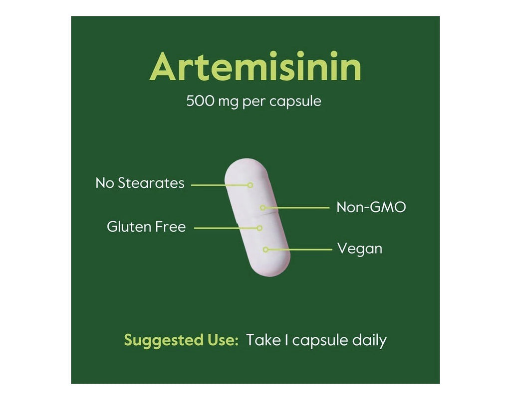 BESTVITE Artemisinin Pure 500 mg Per Capsule 60 Vegetarian Capsules Non Gmo