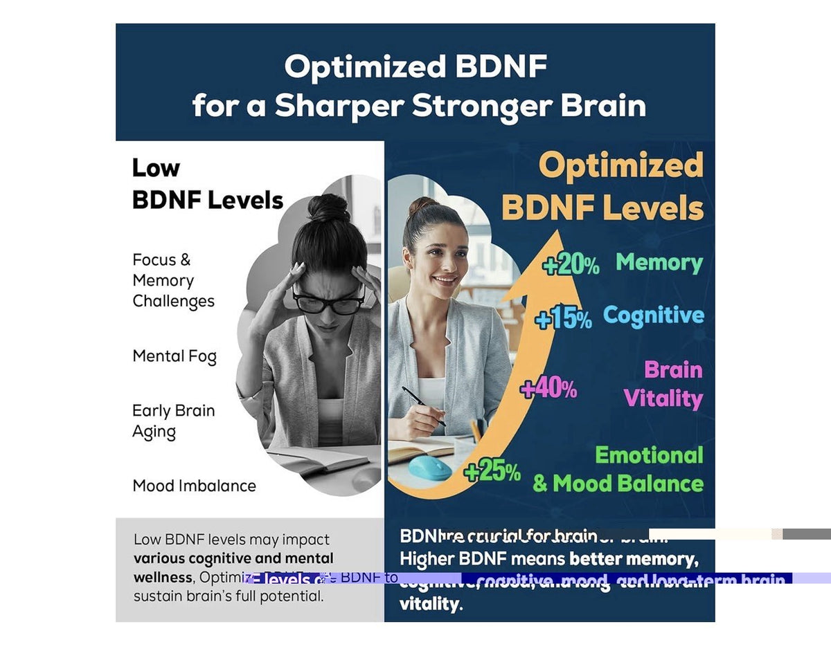 Quorinthiumax BDNF Optimizer Nootropic Brain Memory Focus Cognitive Mood 60Tabs