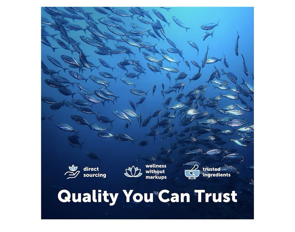 Micro Ingredients Triple Strength Omega-3 Fish Oil 4,200 mg Per Serving 240sgel