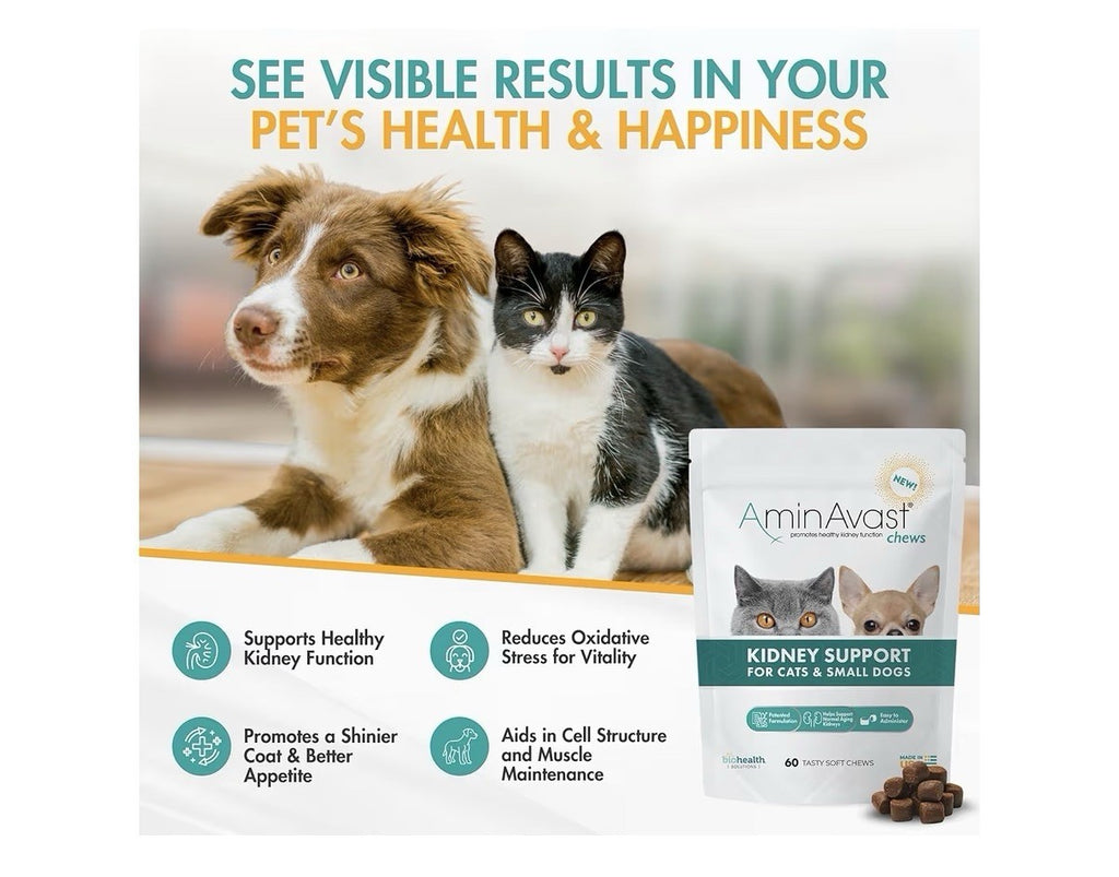 AminAvast Chews Kidney Support Cats & Small Dogs Kidney Function 300mg 60 Chews