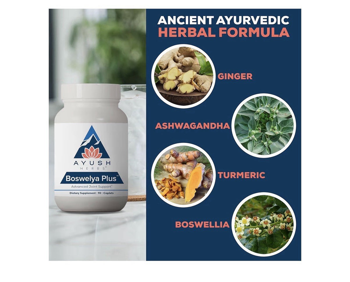 Ayush Herbs Boswelya Plus Advances Joint Support Glucosamine Chondroitin 90 Caps