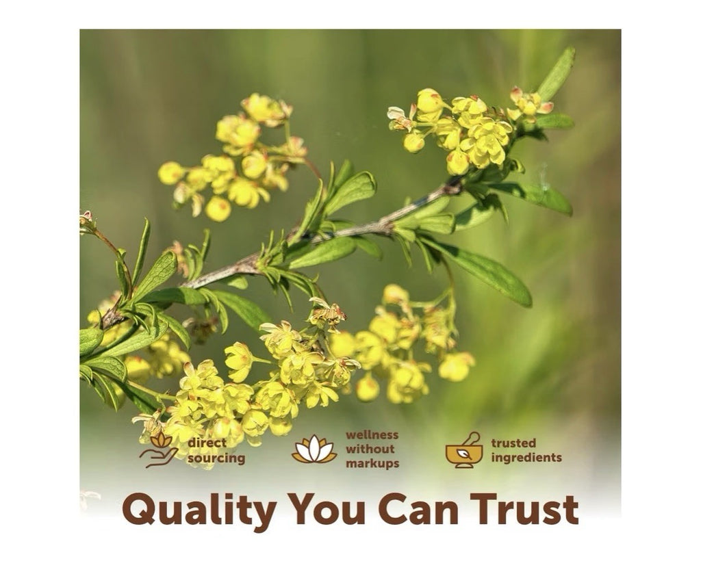 Micro Ingredients Berberine 1000mg with Mct Oil High Bioavailable 240 Softgels