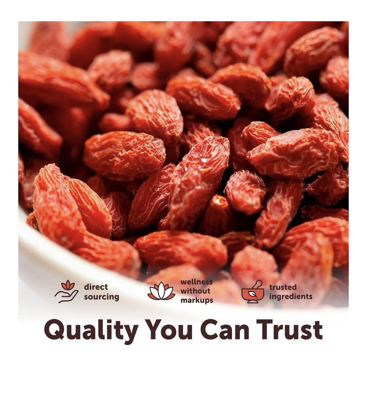 Micro Ingredients Organic Goji Berries Large Whole Sun Dried Berries 1 lbs