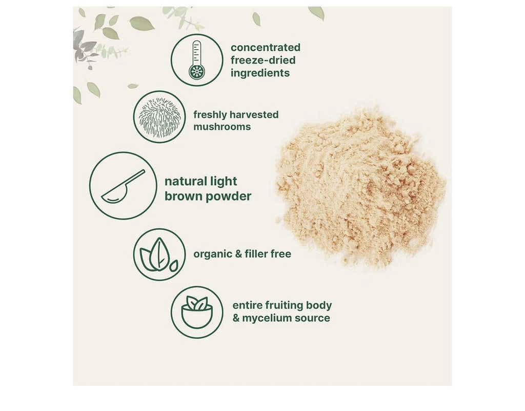 Micro Ingredients Organic Lion’s Mane Mushroom Powder Brain Energy Support  1lb