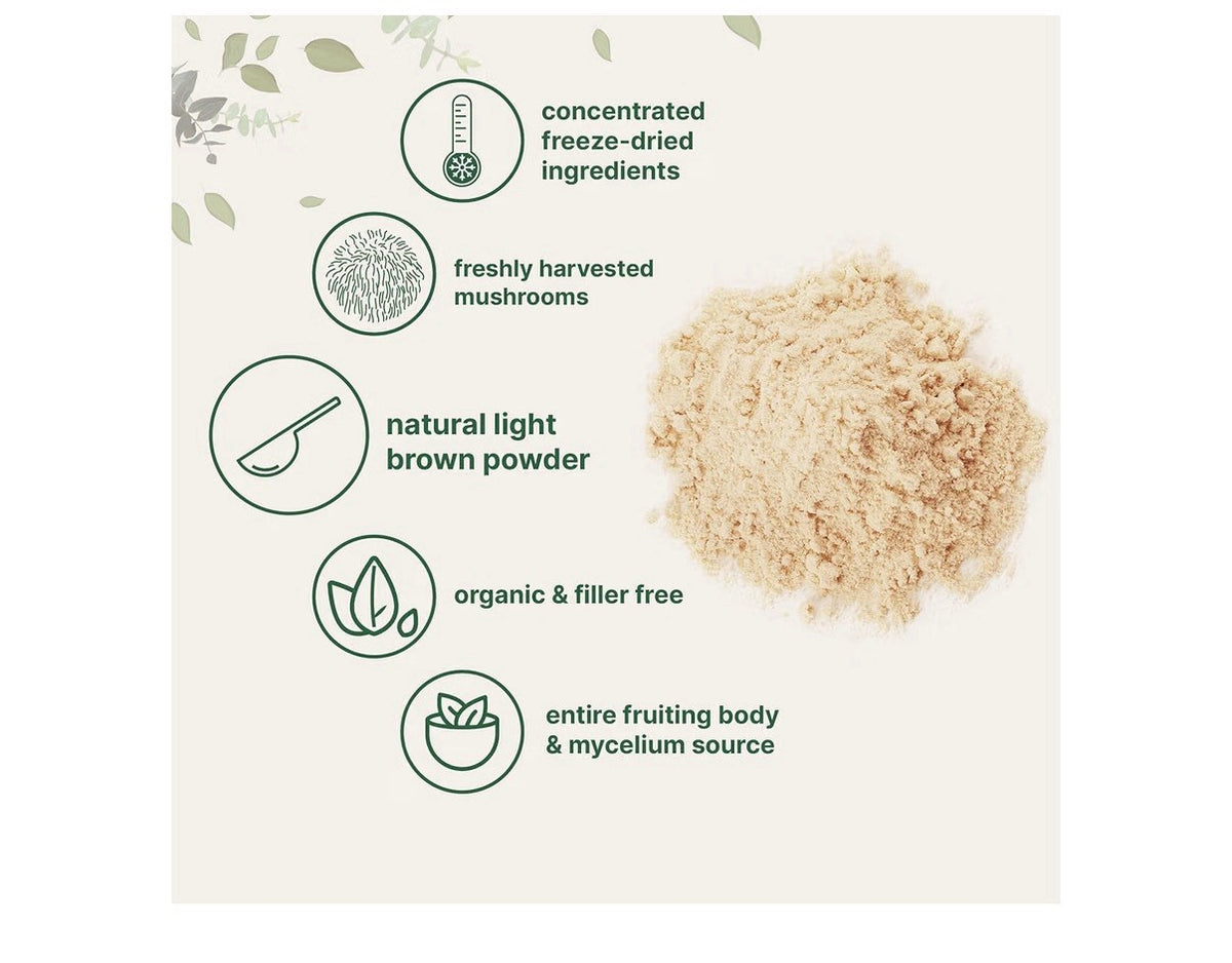 Micro Ingredients Organic Lion’s Mane Mushroom Powder Brain Energy Support  1lb