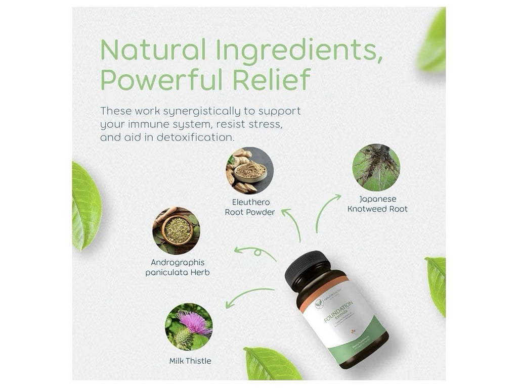Return Healthy Foundation Formula Immune Modulation Tick Immune Support 270 Caps