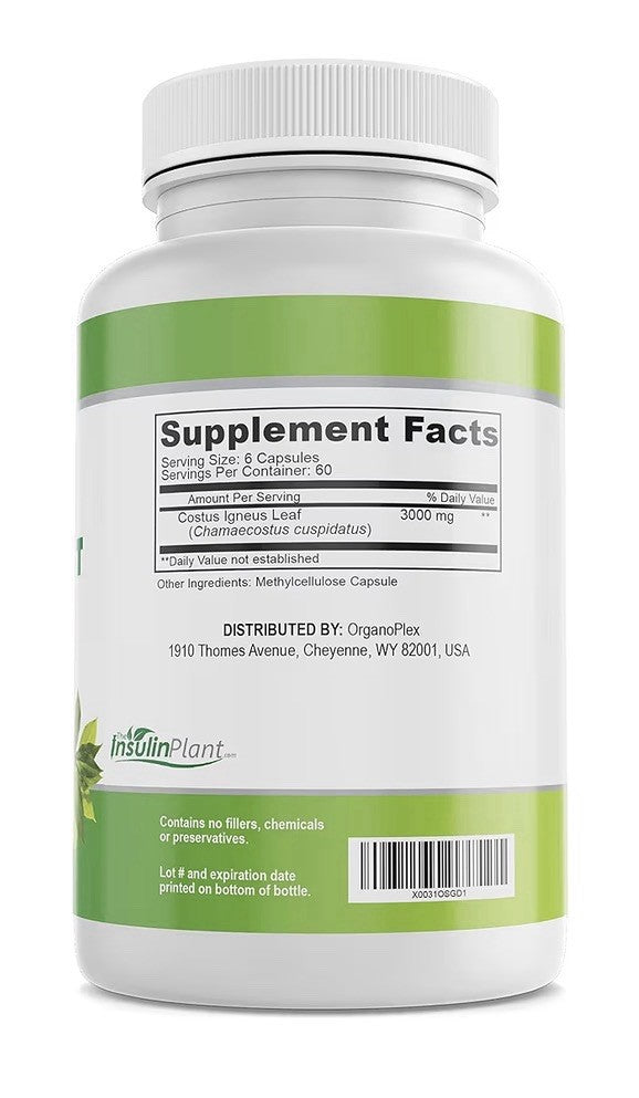 ORGANOPLEX Insulin Plant Capsules (Costus Igneus) 100% Natural Supplement 360Cap