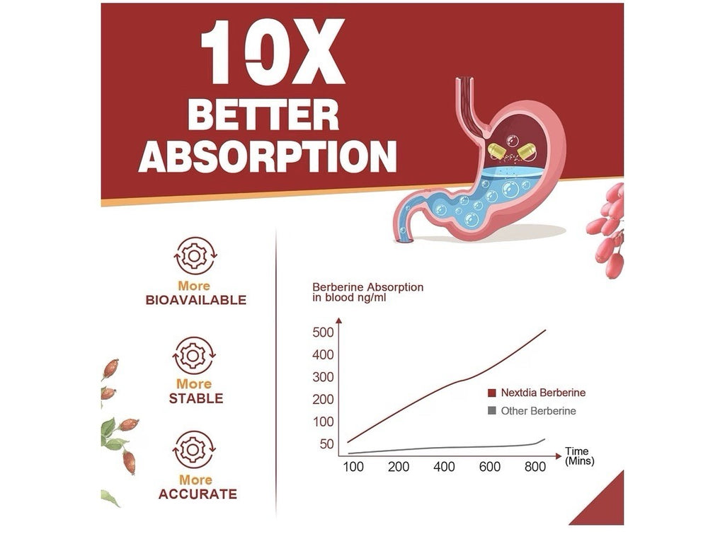 Nextdia Berberine Ceylon Cinnamon 1500mg Per Serving Liposomal Form 2 Pack