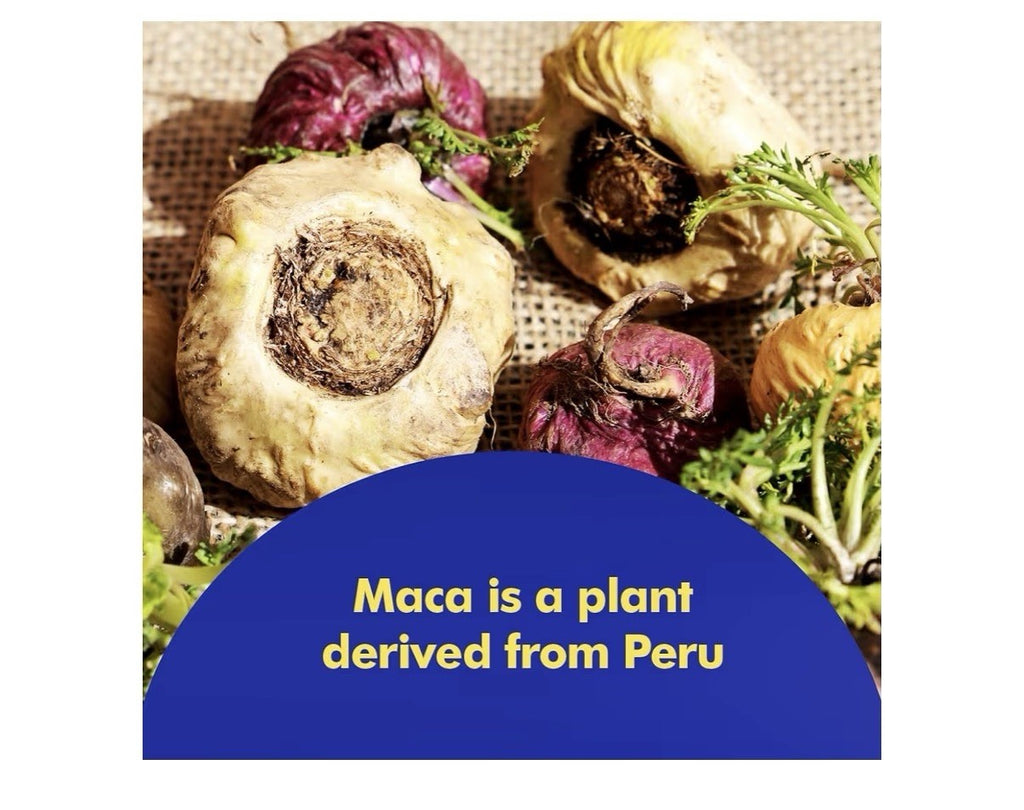 Santo Remedio Maca Helps Support Healthy Energy Levels Dietary Supplement 90caps