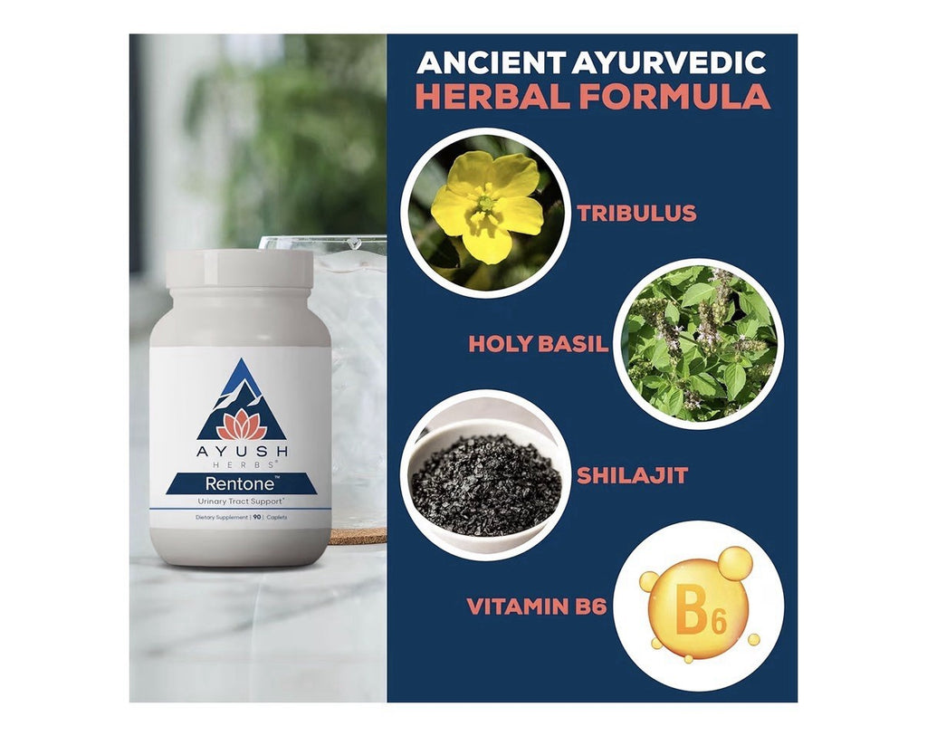 Ayush Herbs Ashwagandha Pure Cognitive Essentials for Men & Women 120 Capsules
