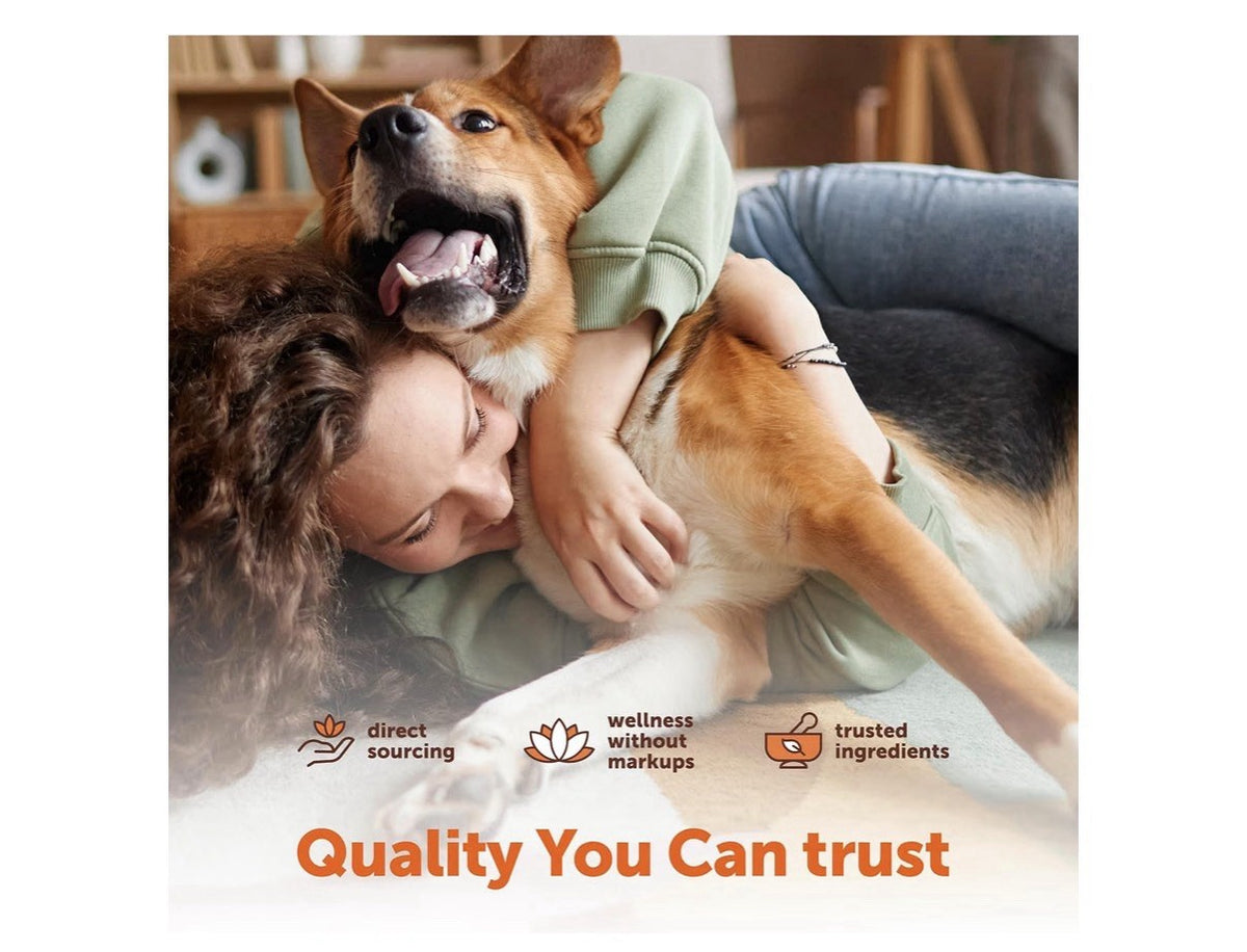 Micro Ingredients Dog Multivitamin 25-in-1 240 Soft Chews Chicken Flavor