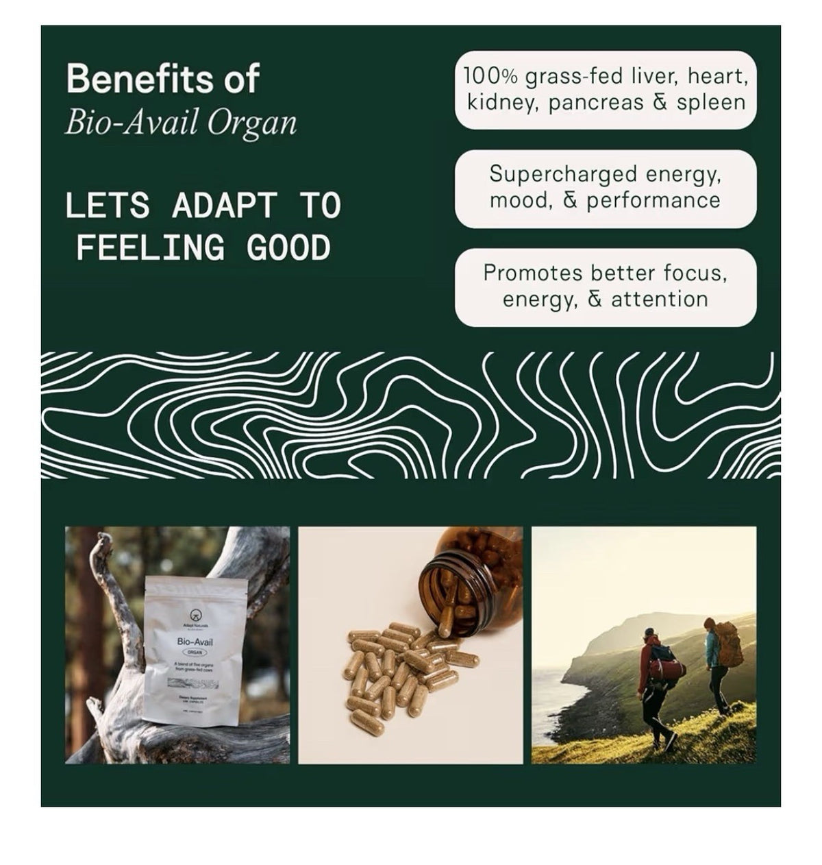 Adapt Naturals Organ Bio-Avail A blend of five organs from grass-fed cows 180cap