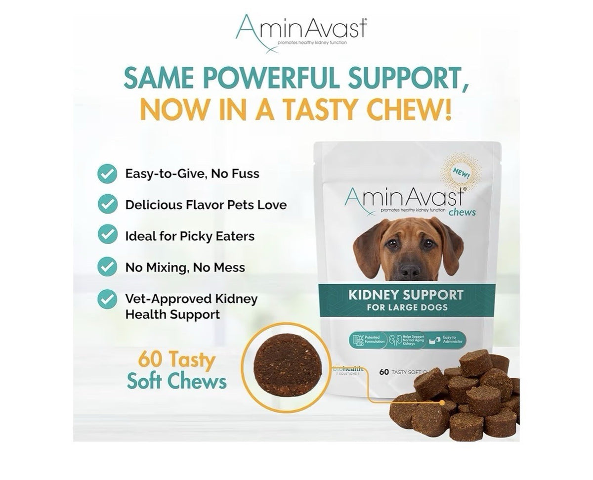 AminAvast Chews Kidney Support For Large Dogs Kidney Function 1000mg 60 Chews