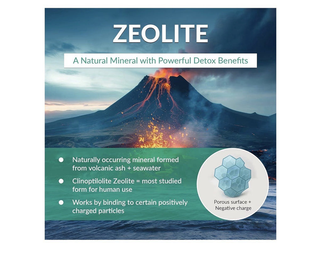 Organic Excellence Zeolite Clinoptilolite Powder Pure Micronized Mineral 500gram