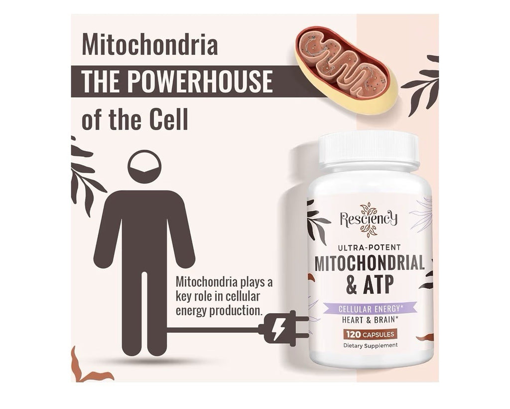 Resciency Mitochondrial & ATP Supplements Cellular Energy Heart Brain 120capsule