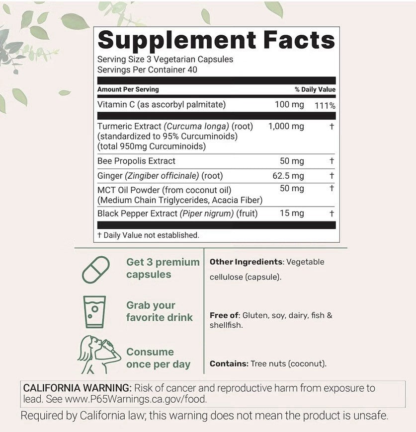 Micro Ingredients Turmeric Curcumin 95 1,000mg Per Serving 2 Pack