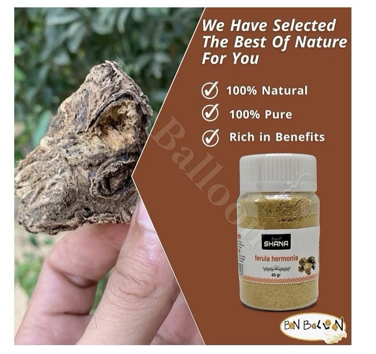 3Pack Shana Sharsh El Zaloua Ferula Hermonis Powder Natural Herbشانه شرش الزلوع
