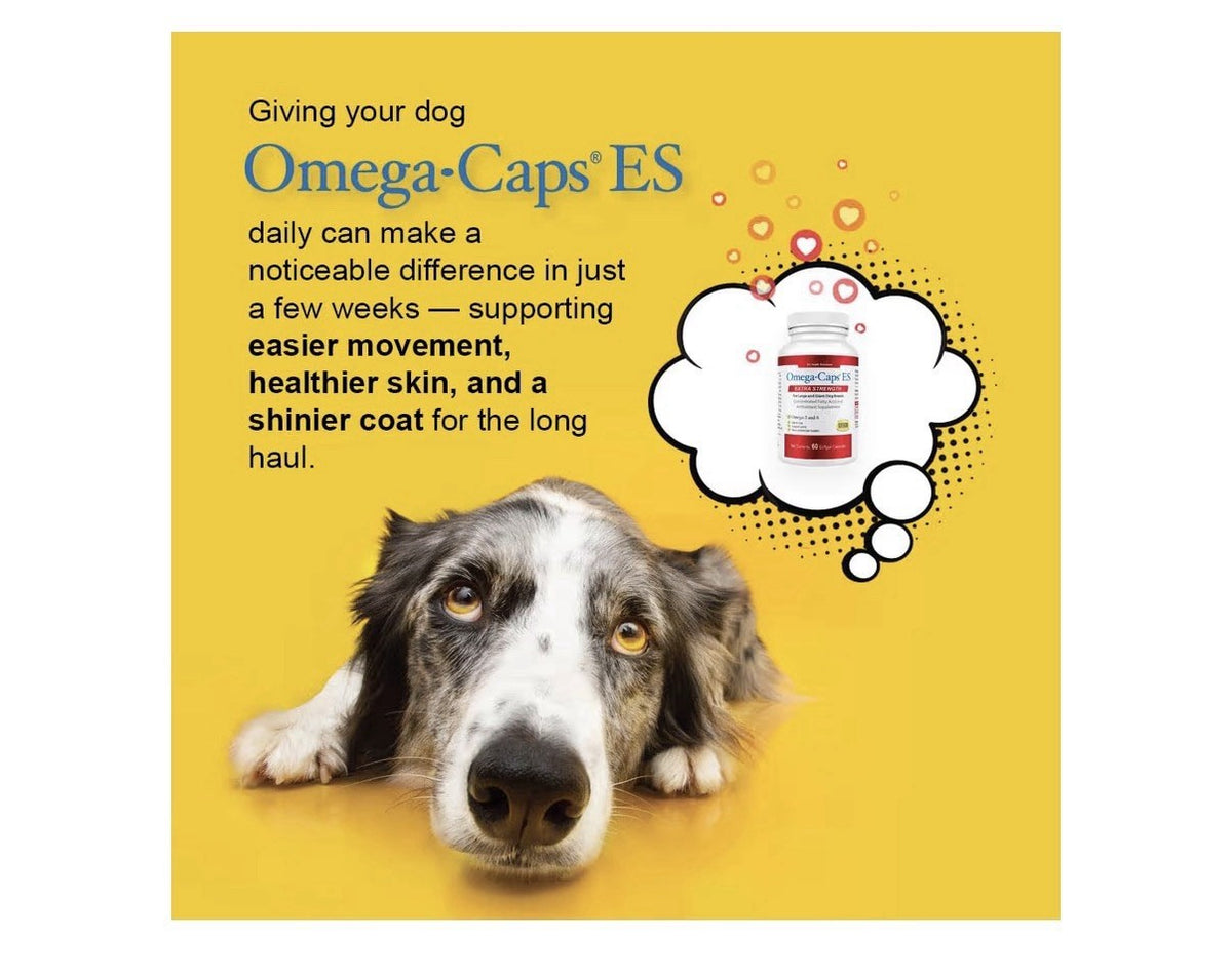 3 Pack Omega Caps ES  Omega-3 & 6 Extra Strength Large and Giant Dogs Breeds