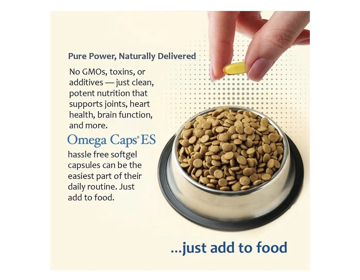 Omega Caps ES  Omega-3 & 6 Extra Strength Large and Giant Dogs Breeds 60capsules