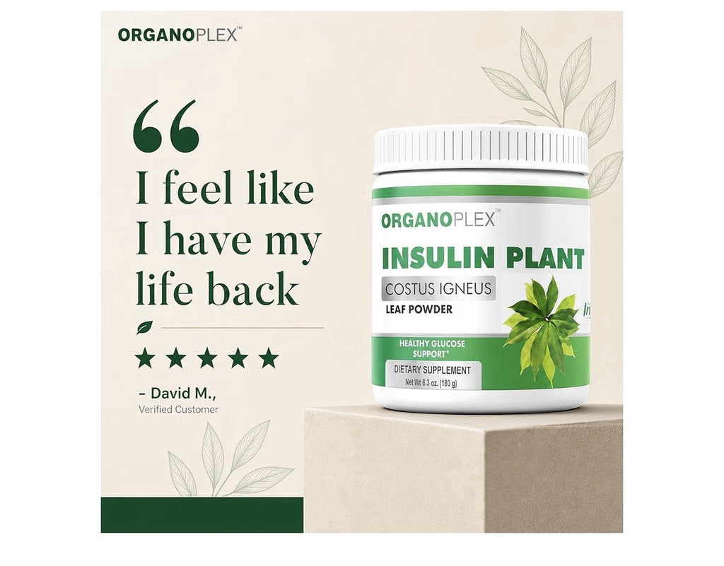 ORGANOPLEX Insulin Plant COSTUS IGNEUS Leaf Powder Healthy Glucose Support 180g
