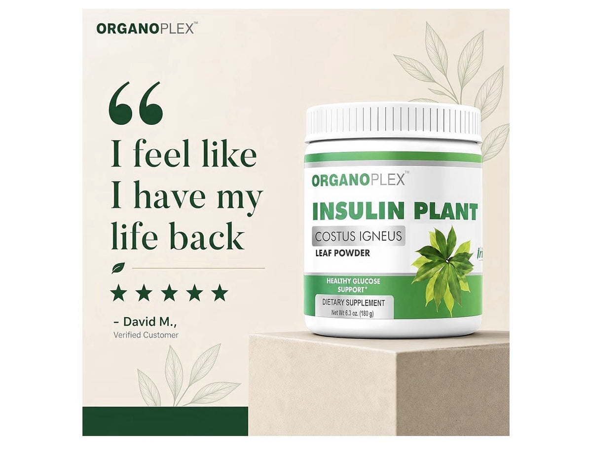 ORGANOPLEX Insulin Plant COSTUS IGNEUS Leaf Powder Healthy Glucose Support 180g