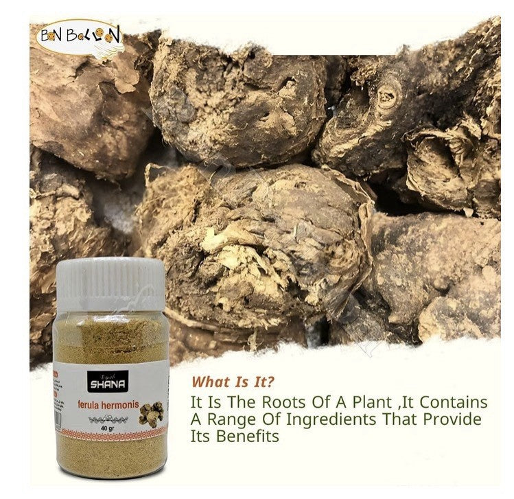 3Pack Shana Sharsh El Zaloua Ferula Hermonis Powder Natural Herbشانه شرش الزلوع