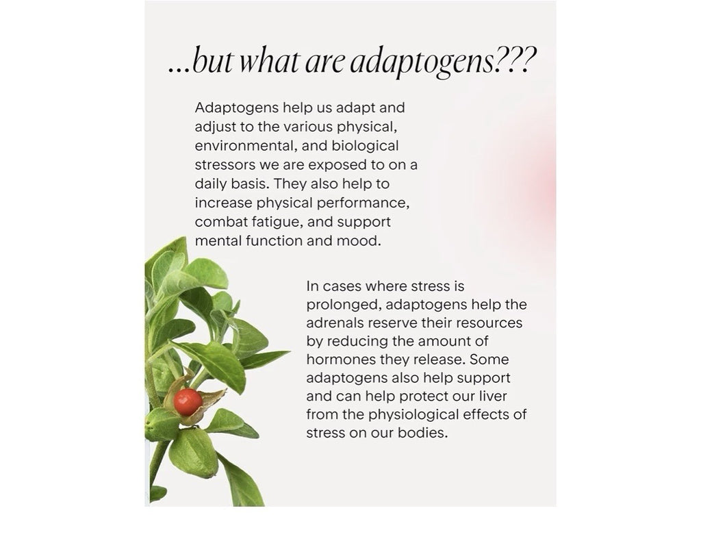 Goodness Lover Ashwagandha Supplement Nervous System Hormone Balance Support 60c