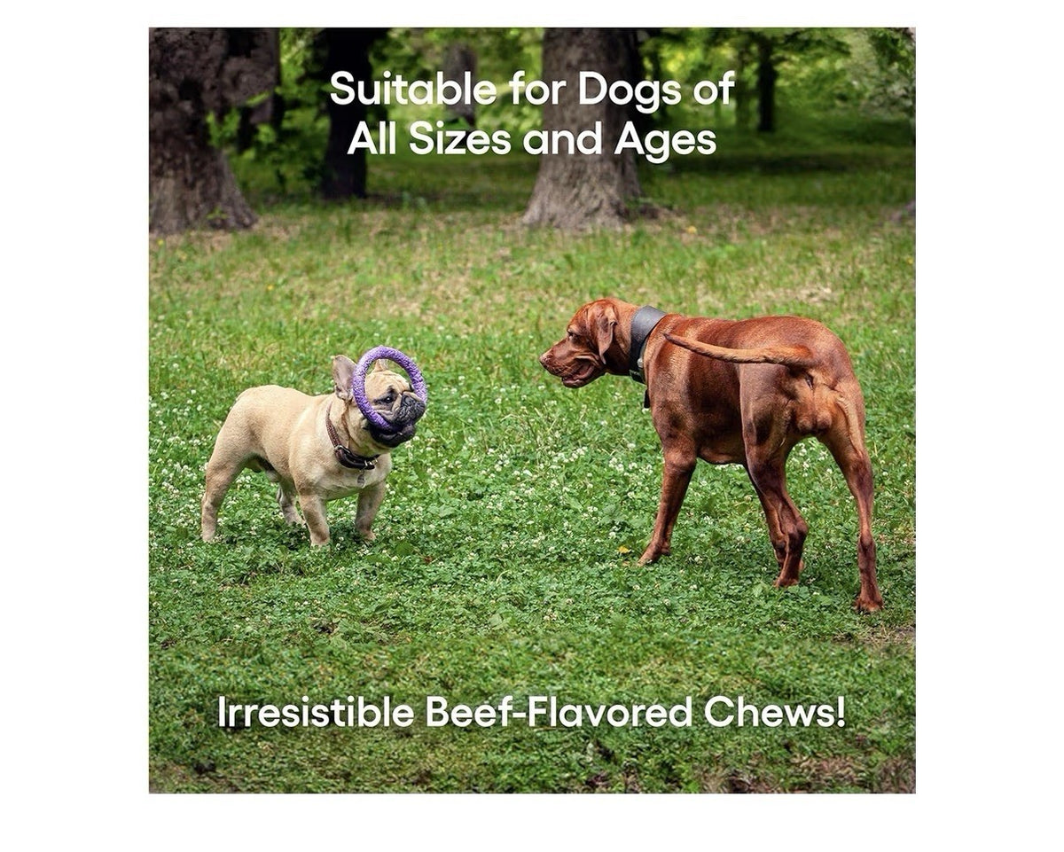 ecoNugenics PectaPaws Joints & Mobility 90 Chewable Dog Supplements Beef Flavor