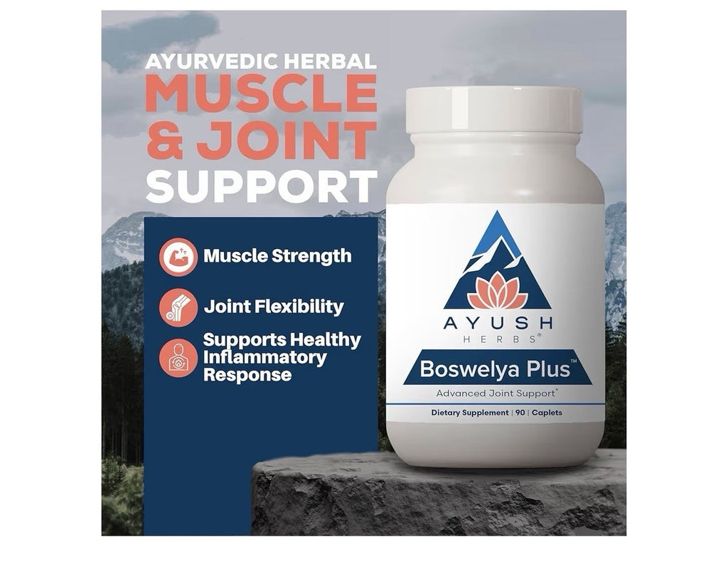 Ayush Herbs Boswelya Plus Advances Joint Support Glucosamine Chondroitin 90 Caps