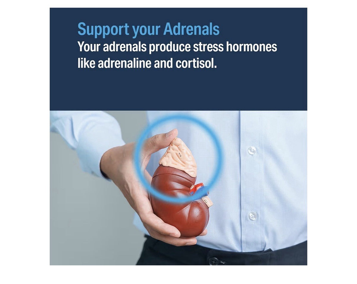 Advanced Bionutritionals Advanced Adrenal Factor Adrenal Support Supplement 120T