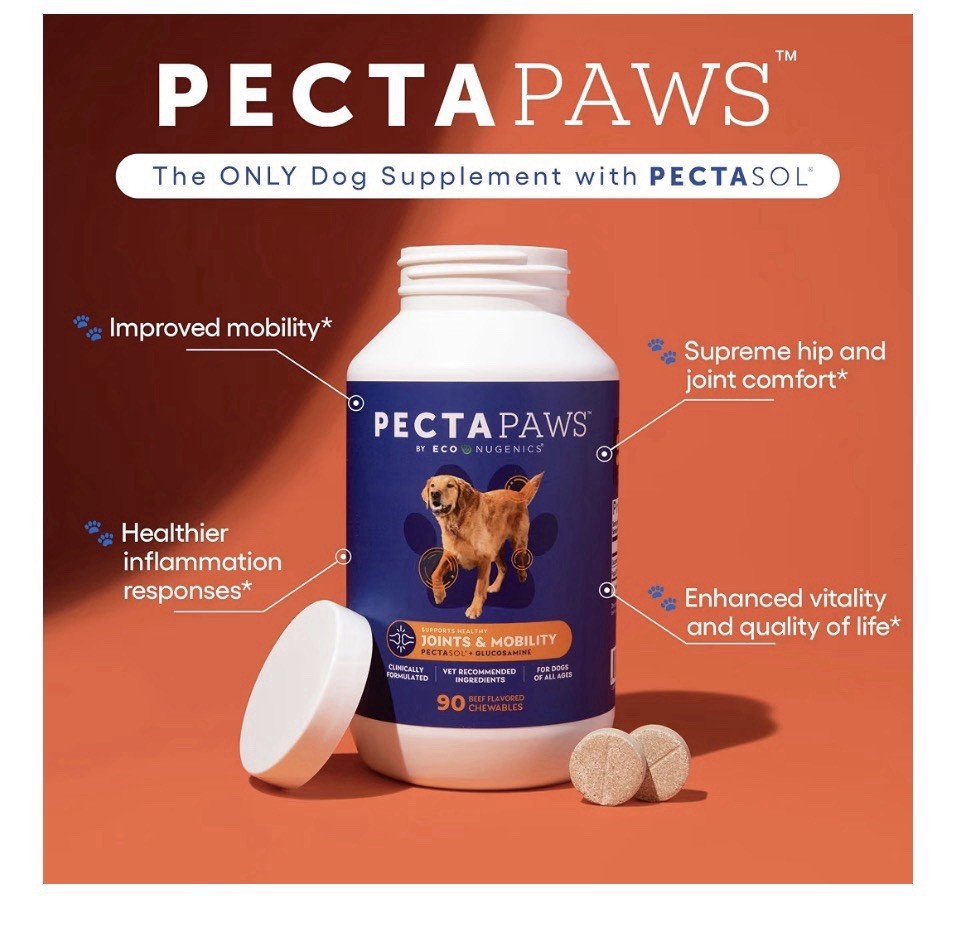 ecoNugenics PectaPaws Joints & Mobility 90 Chewable Dog Supplements Beef Flavor
