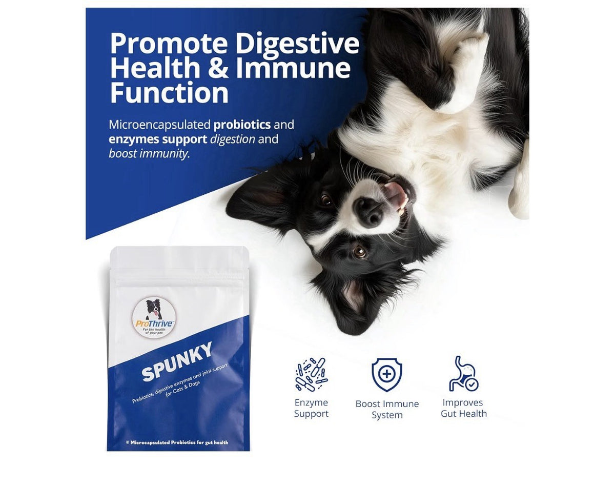 ProThrive Spunky Probiotics Digestive Enzymes Joints Support For Cats & Dogs 1lb