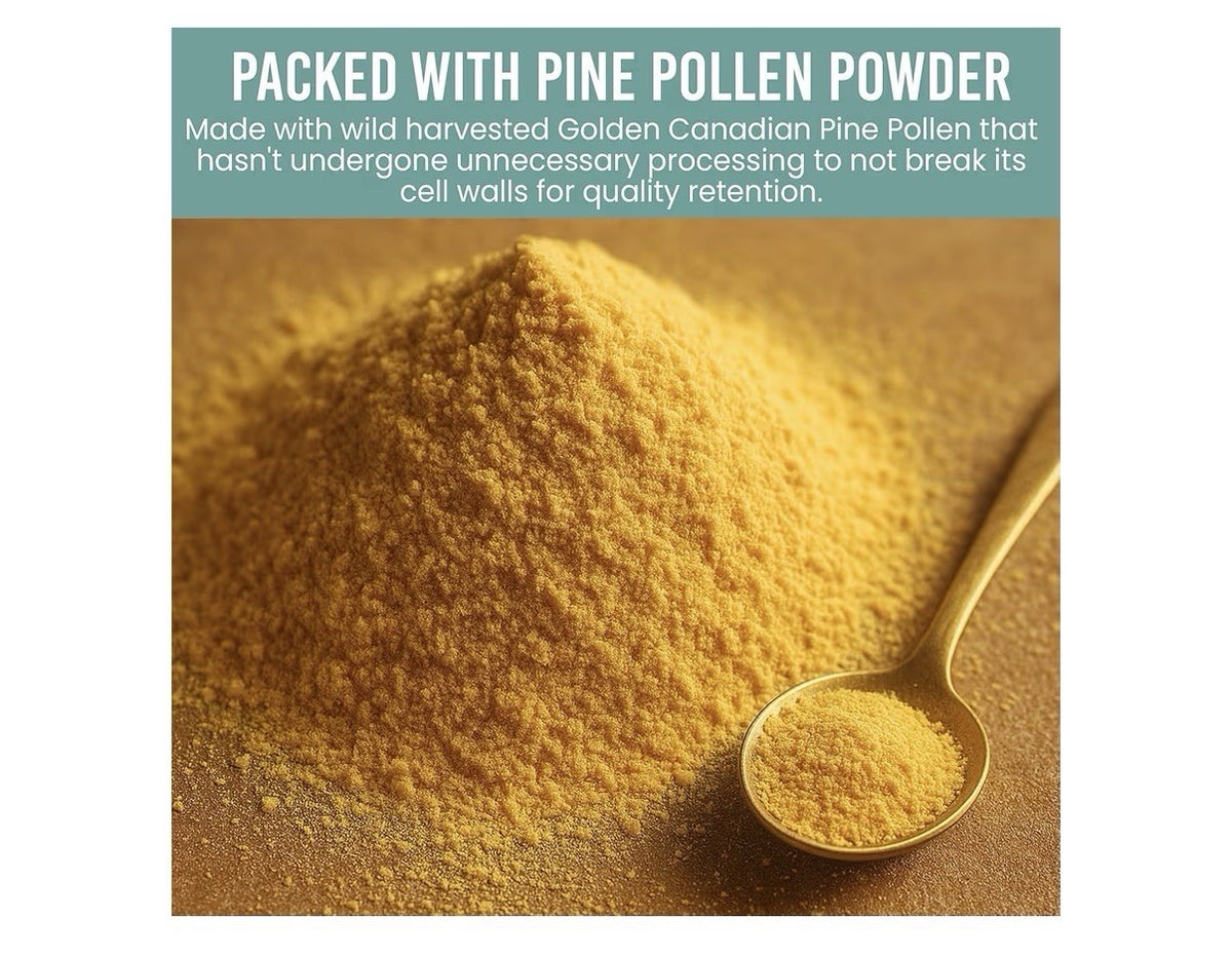 Holistic Lodgepole Pine Pollen Powder Pinus Contorta Golden Canadian 40 Servings