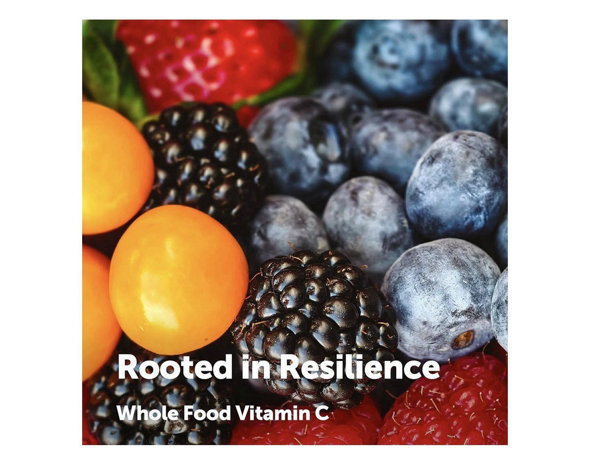 Micro Ingredients Whole Food Vitamin Derived From 10 Berries And Fruits 240 Caps