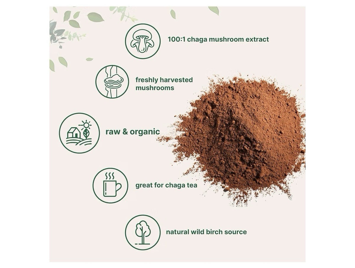 Micro Ingredients Chaga Mushroom Extract Organic From Wild Birch Trees 10 oz