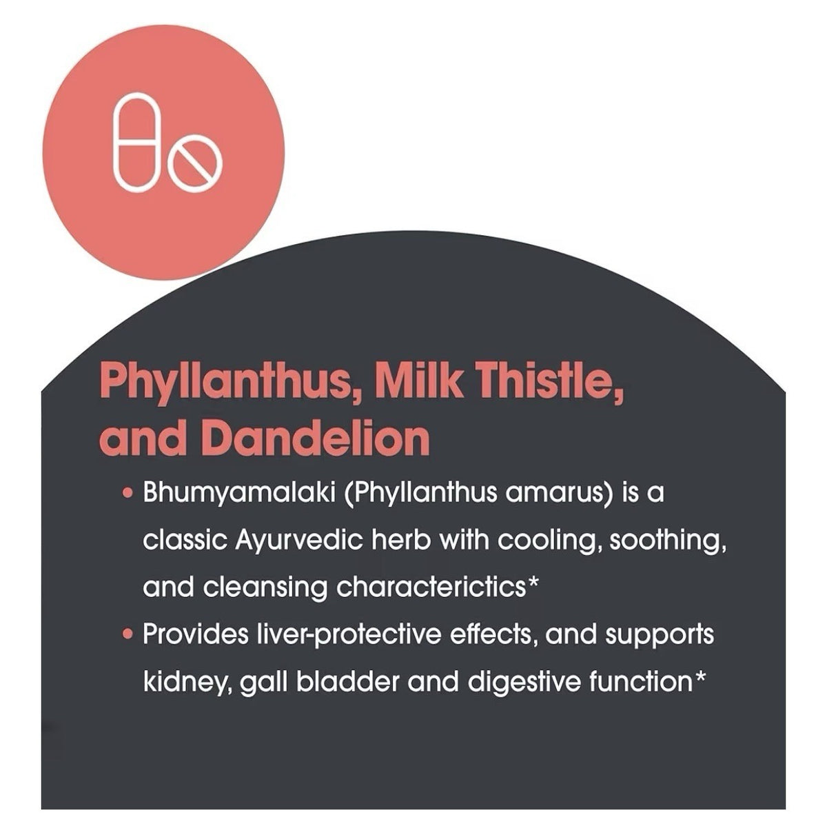 Allergy Research Group ARG Milk Thistle Plus Support Liver Health Detoxification