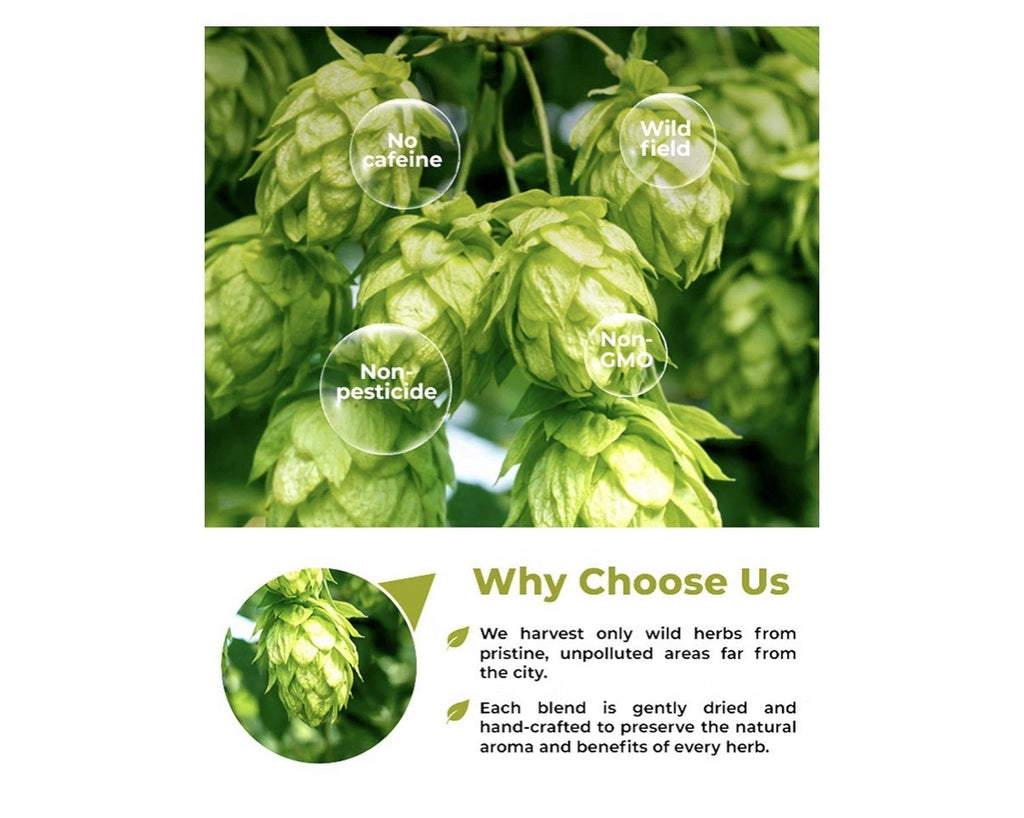 Wildfield Hops Flower Tea Dried Herbal (Humulus Lupulus) Lupulo Entero 50TeaBags