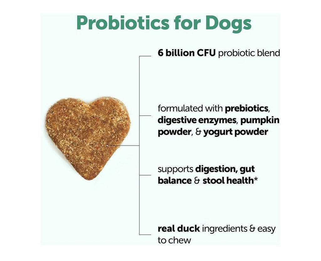 Micro Ingredients Probiotics for Dogs 6 Billion CFU 240 Soft Chews Duck Flavor