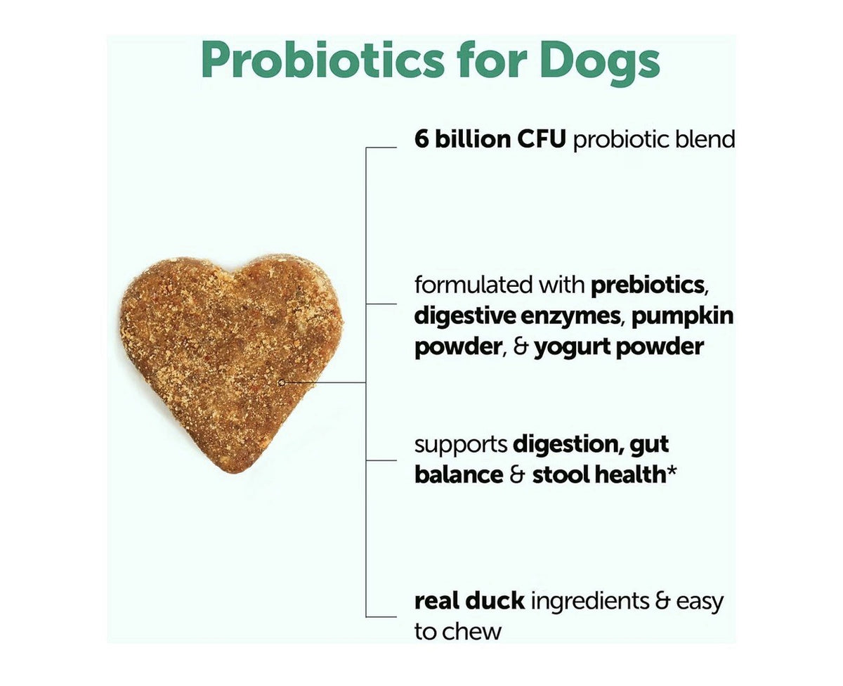 Micro Ingredients Probiotics for Dogs 6 Billion CFU 240 Soft Chews Duck Flavor