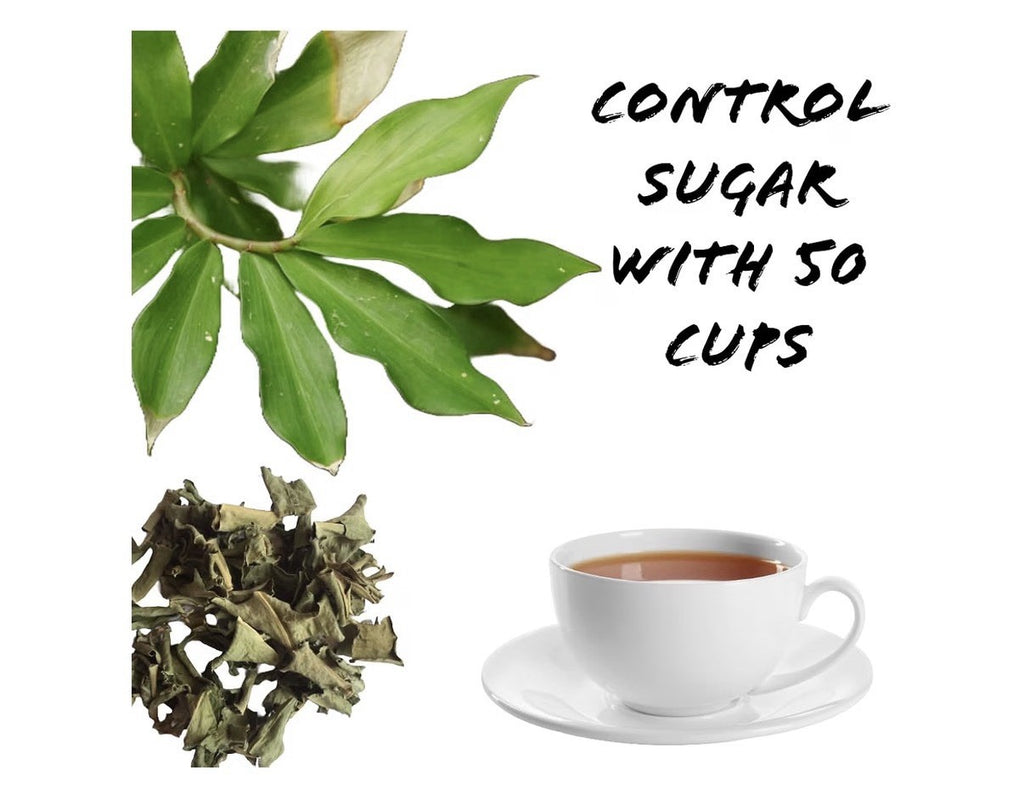 Lanka Flavors Feel Different Insulin Plant Leaves Natural Costus Igneus Tea 50g