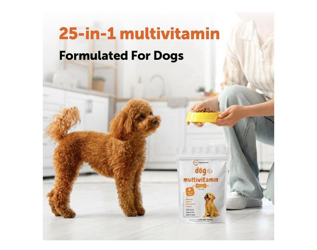 Micro Ingredients Dog Multivitamin 25-in-1 240 Soft Chews Chicken Flavor