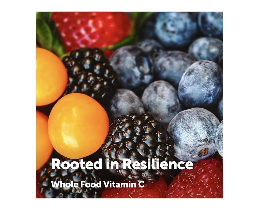 Micro Ingredients Whole Food Vitamin C From 10 Berries And Fruits 240 Capsules